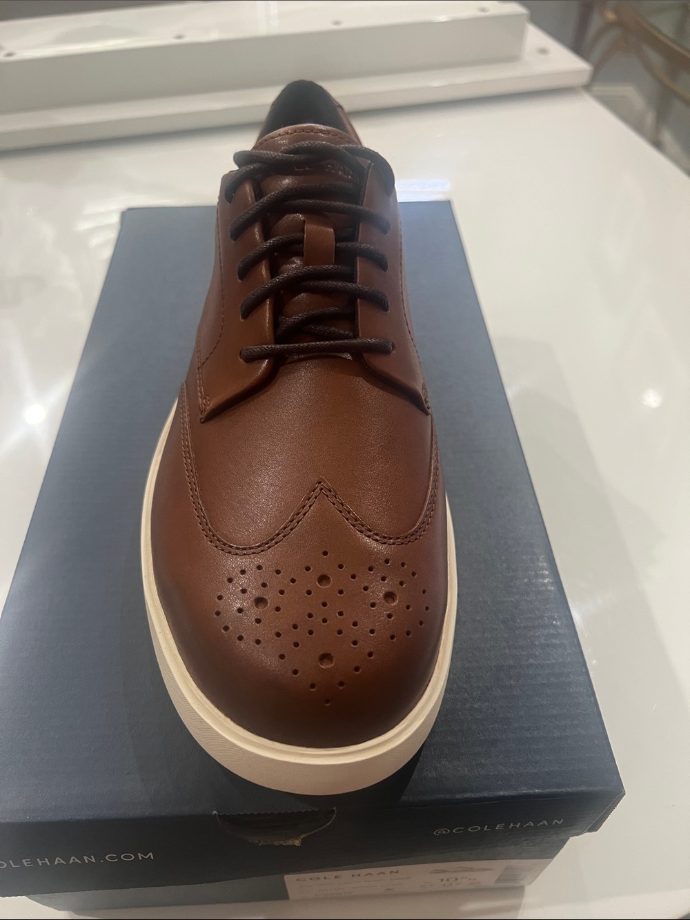NIB Cole Haan Brown Leather Wingtip Oxford with White Sole